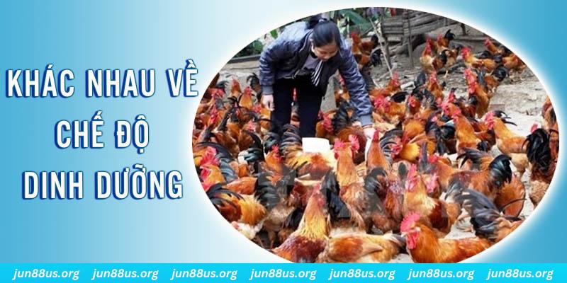 ca xeng xổ số miền nam thứ năm hàng tuần