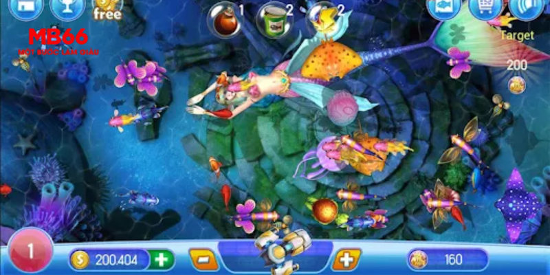 ca xeng casino gồm những gì