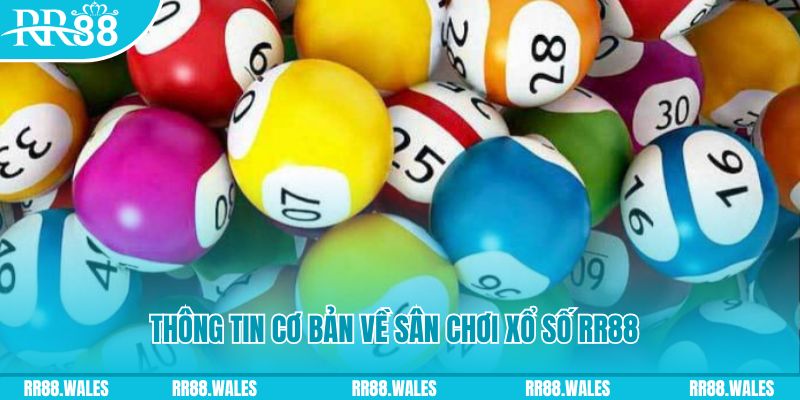 ca xeng đá gà hôm nay