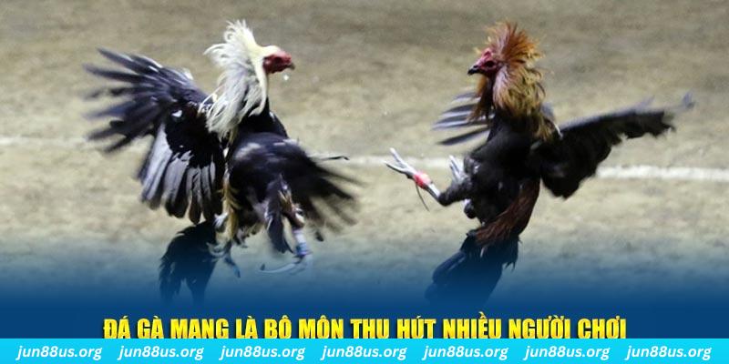 ca xeng đăng nhập lô đề hàng đầu