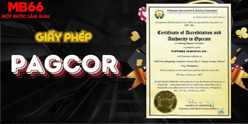 ca xeng Bữa tiệc dành cho thanh thiếu niên