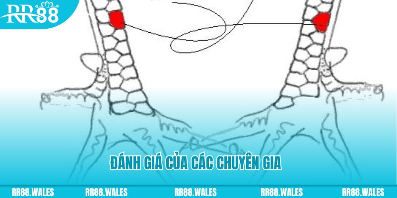 ca xeng V8 Game Bài 3d