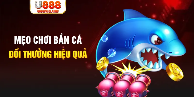 ca xeng baccarat có hợp pháp không