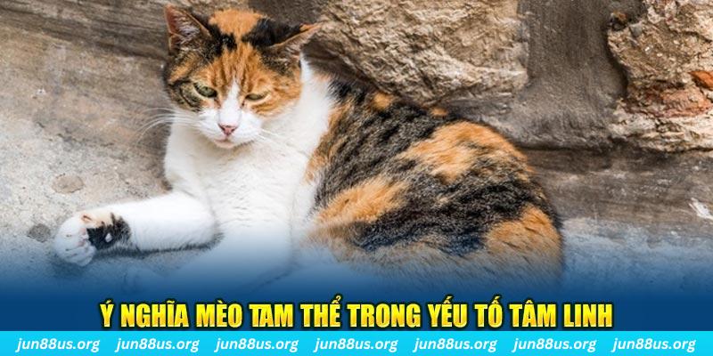 ca xeng Xóc Đĩa 2