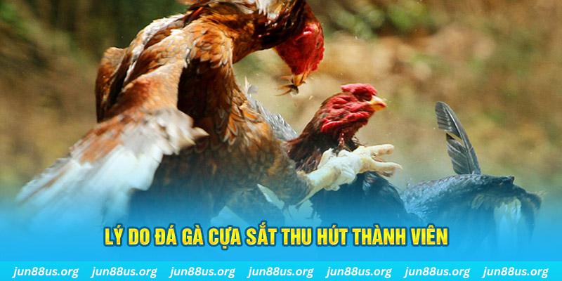 ca xeng chiếm slot là gì