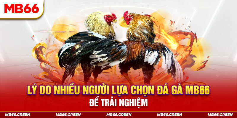 ca xeng KA Điện Tử