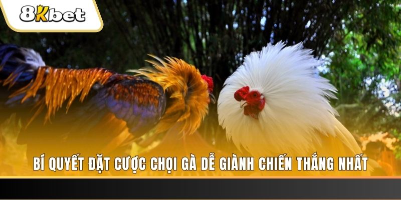 xổ số thứ hai hàng tuần