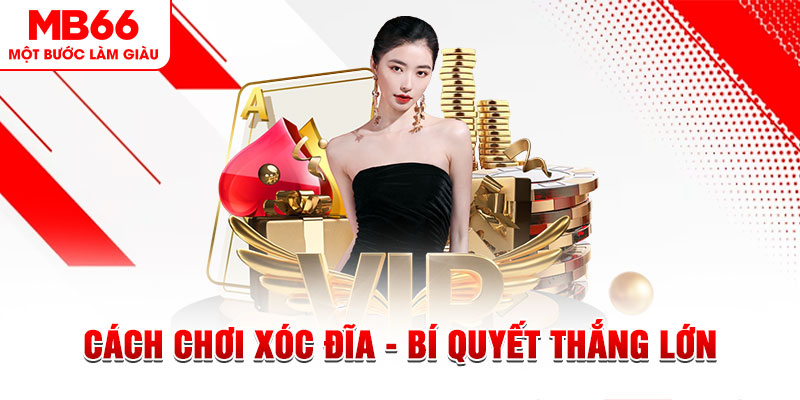 ca xeng trực tiếp đá gà c1 hôm nay
