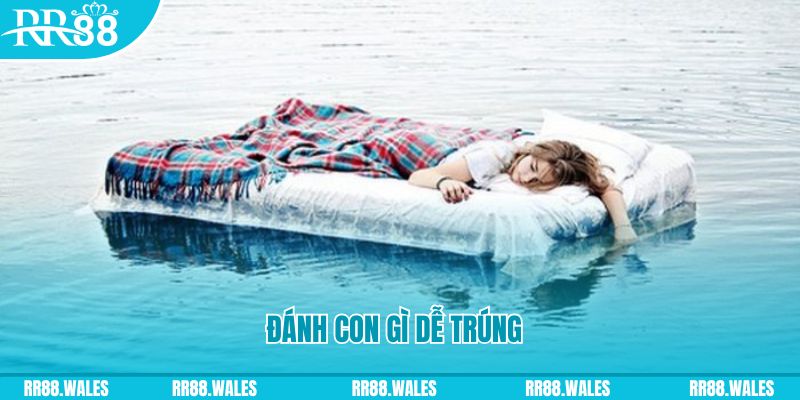 ca xeng đăng nhập liêng hàng đầu