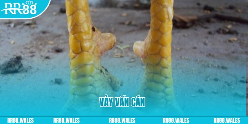 ca xeng đăng nhập nổ hũ hôm nay