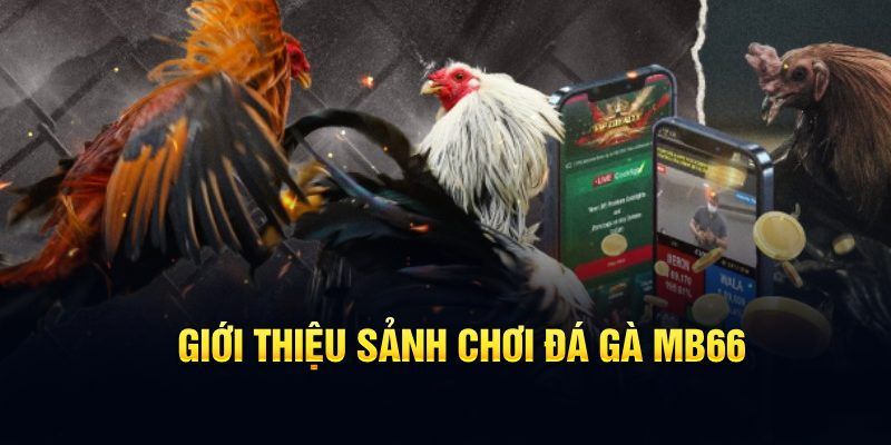 ca xeng đăng nhập poker hôm nay