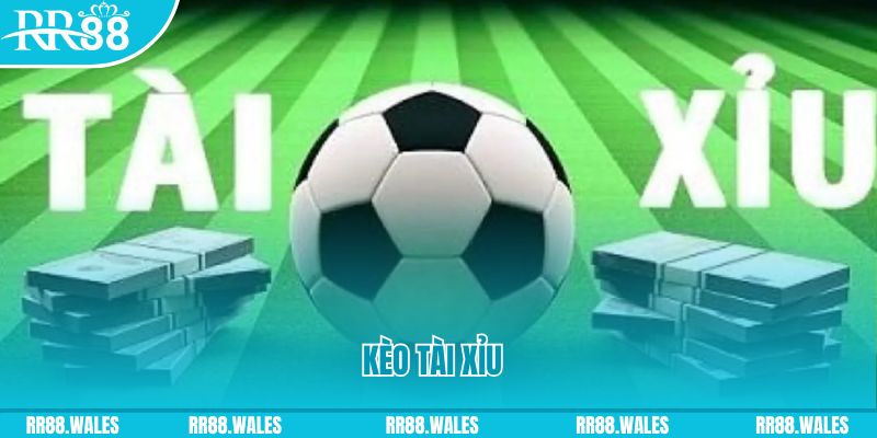 ca xeng gà chọi hoà phong